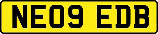NE09EDB