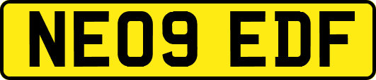 NE09EDF