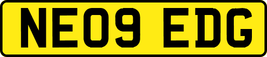 NE09EDG