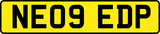 NE09EDP