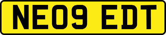 NE09EDT