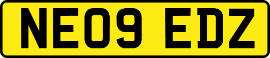 NE09EDZ