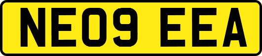 NE09EEA