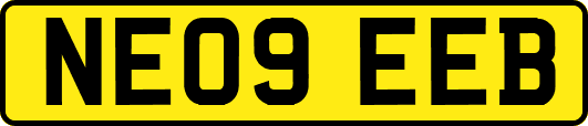 NE09EEB