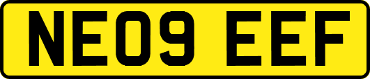 NE09EEF