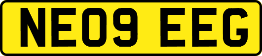NE09EEG
