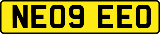 NE09EEO