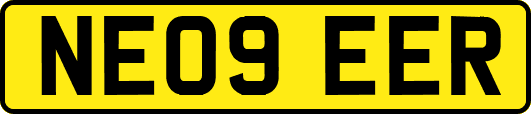 NE09EER