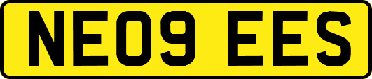 NE09EES
