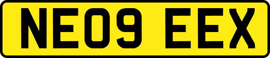NE09EEX