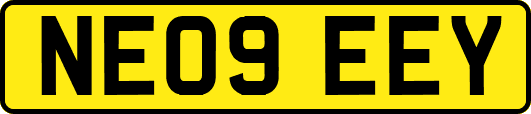 NE09EEY