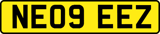 NE09EEZ