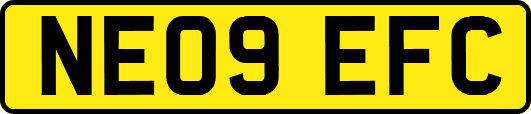 NE09EFC