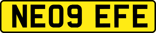 NE09EFE