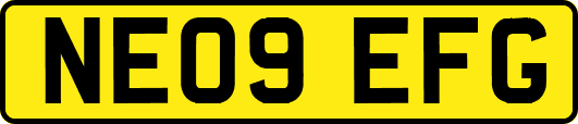 NE09EFG