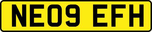 NE09EFH