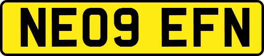 NE09EFN