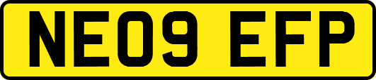NE09EFP