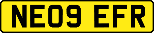 NE09EFR