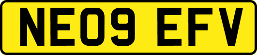 NE09EFV