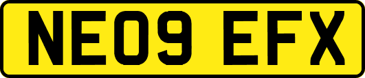 NE09EFX