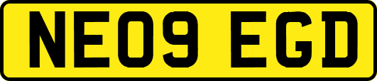 NE09EGD