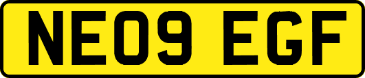 NE09EGF