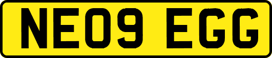 NE09EGG