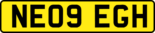 NE09EGH