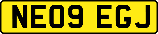 NE09EGJ