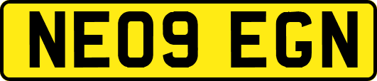 NE09EGN
