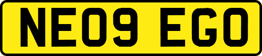 NE09EGO
