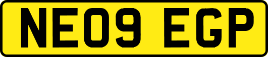 NE09EGP