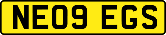 NE09EGS