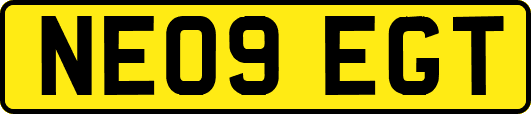 NE09EGT