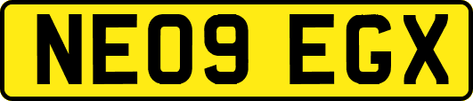 NE09EGX