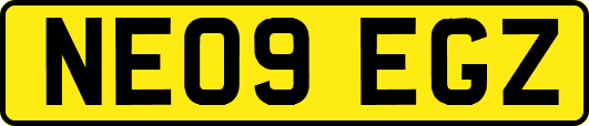 NE09EGZ