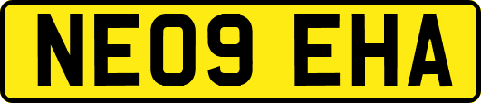 NE09EHA