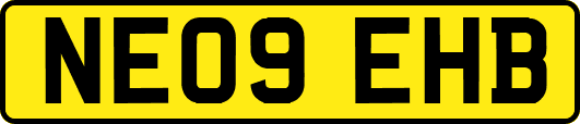 NE09EHB