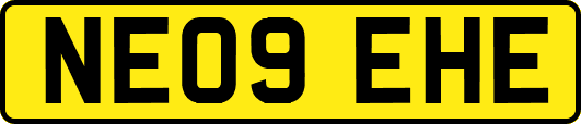 NE09EHE