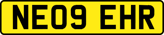 NE09EHR