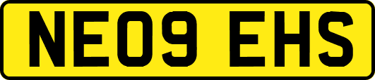 NE09EHS