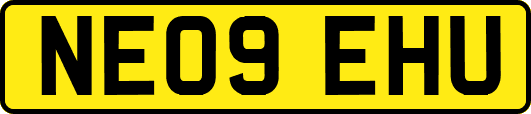 NE09EHU