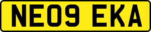 NE09EKA