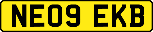 NE09EKB