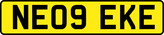 NE09EKE