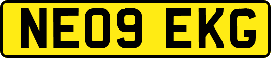 NE09EKG