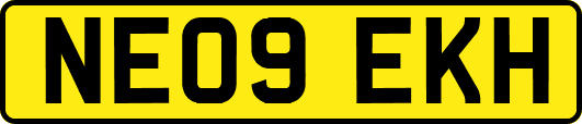 NE09EKH