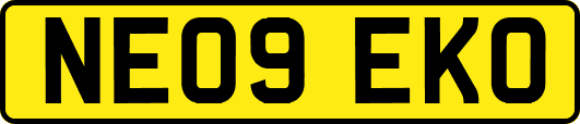 NE09EKO