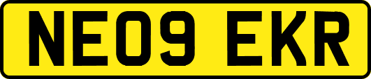 NE09EKR